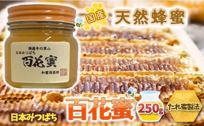 国産 天然蜂蜜 】 はちみつ 日本みつばち 百花蜜 250g たれ蜜製法 純粋