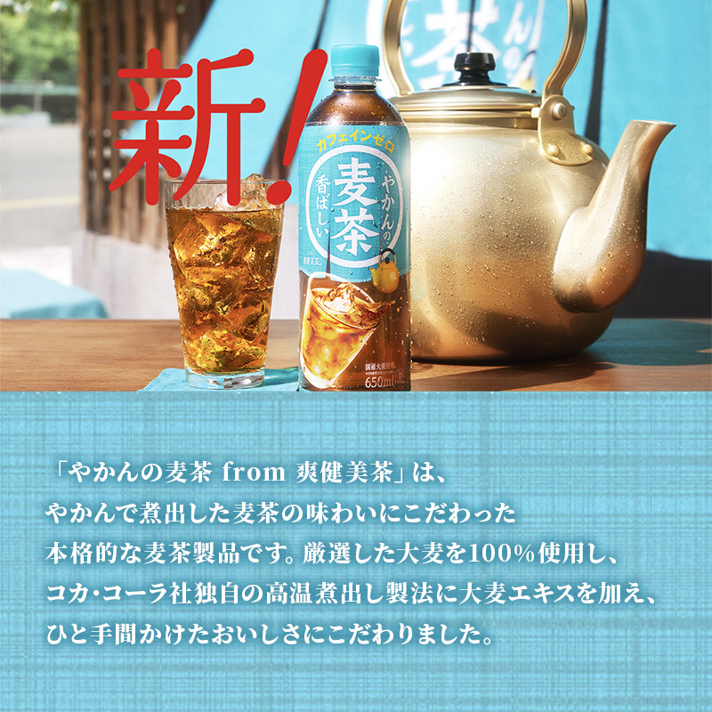 麦茶 定期便 2ヶ月 やかんの麦茶 from 爽健美茶 650ml 24本 セット