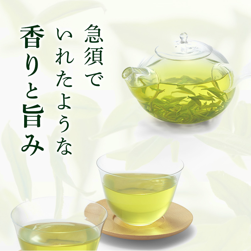 お茶 綾鷹 2L 12本 セット ペットボトル 広島 三原 コカ・コーラボトラーズ 飲料 緑茶