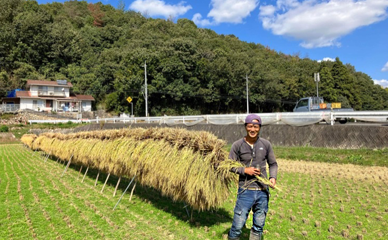 米 ヒノヒカリ 玄米 10kg 栽培期間中 無農薬 無化学肥料 天日干し米 お米 こめ コメ ひのひかり 三原市