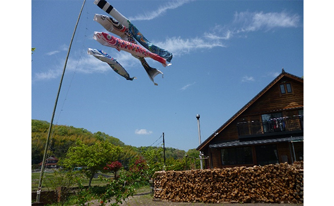 薪ストーブに最適！しっかり暖かい「カシ・クヌギ」乾燥薪（40cm）12kg 広島 三原 自然乾燥 森林整備