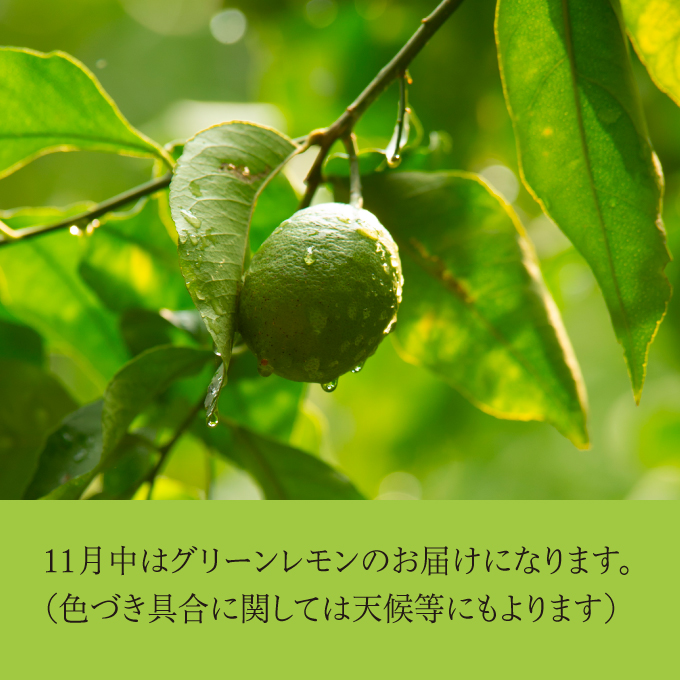 レモン 卵 【先行予約】 【2024年12月以降発送】平飼い有精卵「島たまご」10個＋2個（保障付）、農薬・除草剤を使わず育てた瀬戸内レモン3kg  広島 三原 佐木島 鷺島みかんじま 017036