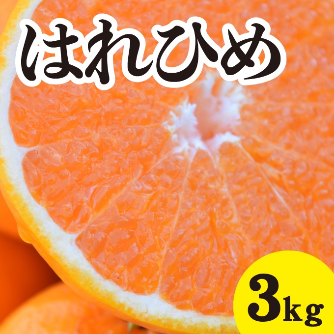 みかん 【先行予約】 【2025年1月以降発送】 爽やかな香りと甘さに満足！ 新品種 はれひめ ＜約3kg＞ 広島 三原 佐木島 鷺島みかんじま 017042