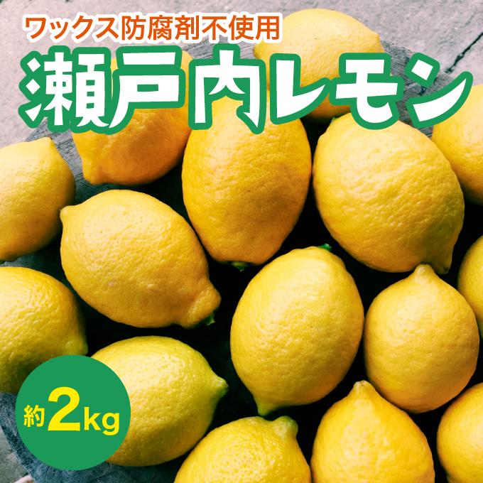 瀬戸内 れもん 約2kg  【先行予約】 【2024年11月以降発送】レモン 国産 佐木島 三原 広島 フルーツ 果物 柑橘 柑橘類 檸檬 017046