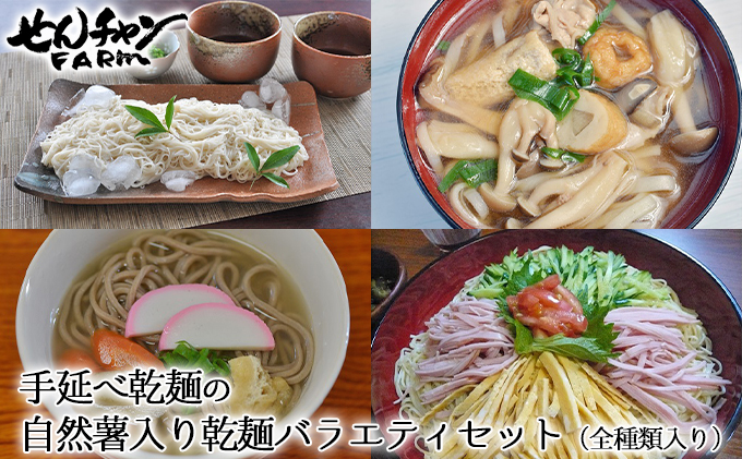 コシがあって美味♪手延べ乾麺の自然薯入り乾麺バラエティセット（全種類入り）　029008