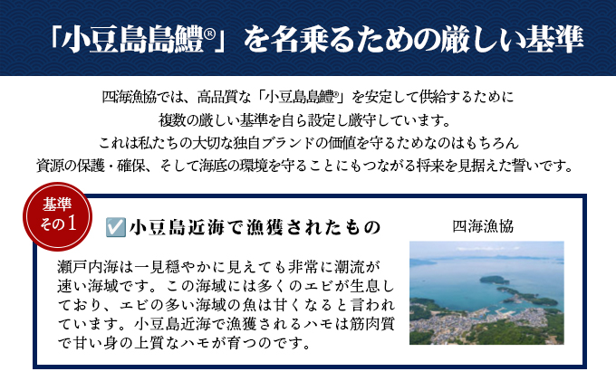 『小豆島島鱧』活け締め骨切り瞬間冷凍  新鮮 海の幸