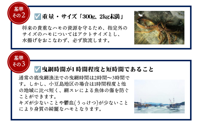 『小豆島島鱧』活け締め骨切り瞬間冷凍  新鮮 海の幸