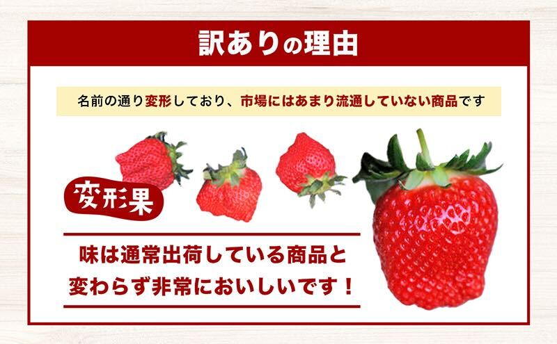 【配送エリア限定商品】＜訳あり・大粒＞小豆島産　変形果いちご　1.4kg