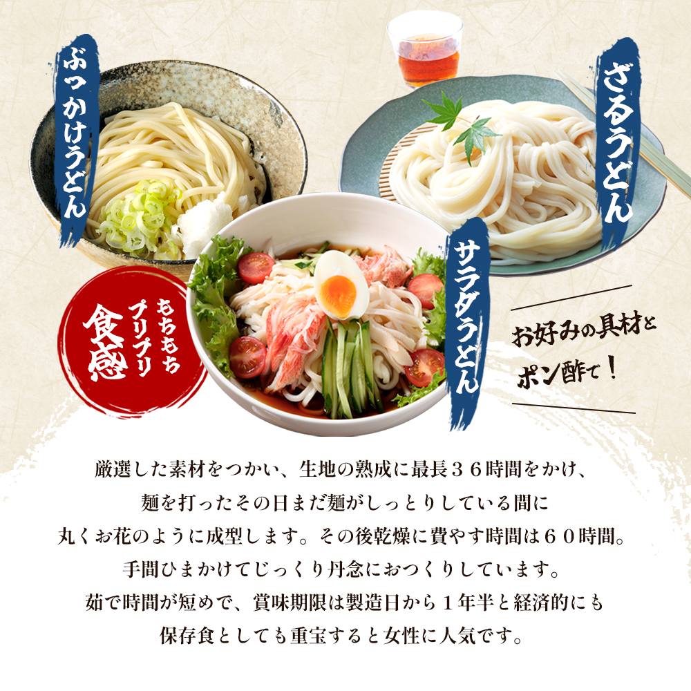 おか乃や製麺　讃岐うどん2種・めんつゆ詰合せ　9人前