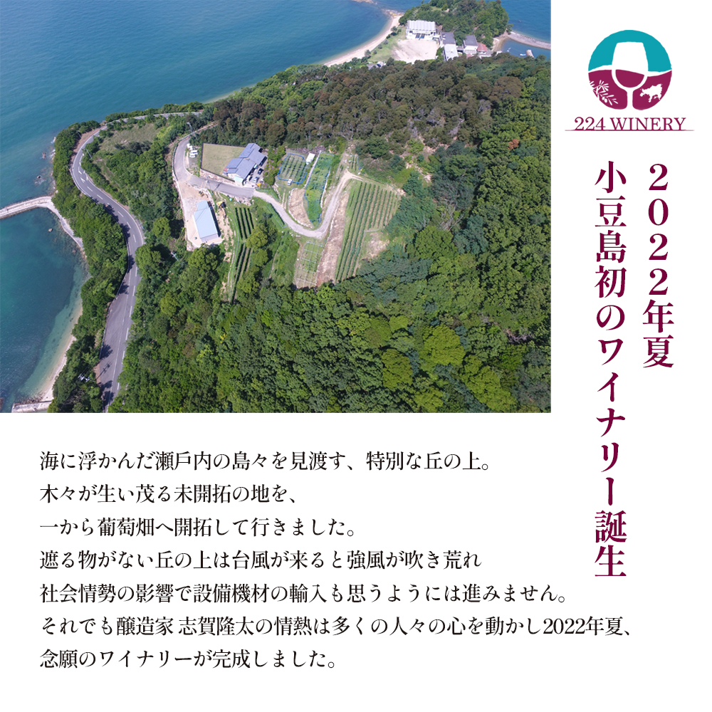 島シャン 2023年 750ml×1本