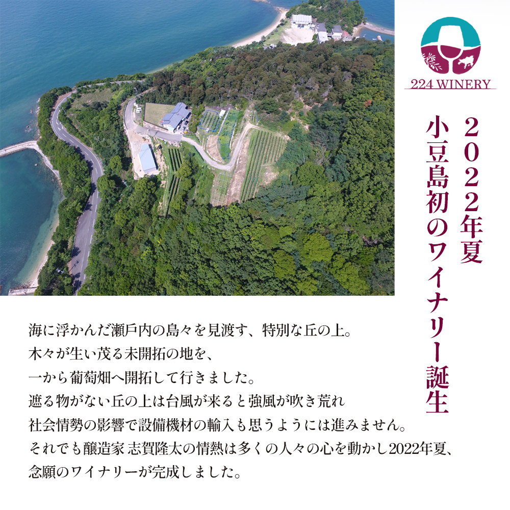 【ワイングラスセット】小豆島醸造 木樽熟成 カベルネソーヴィニヨン 2023年 720ml×1本&ブルゴーニュ型ワイングラス2脚