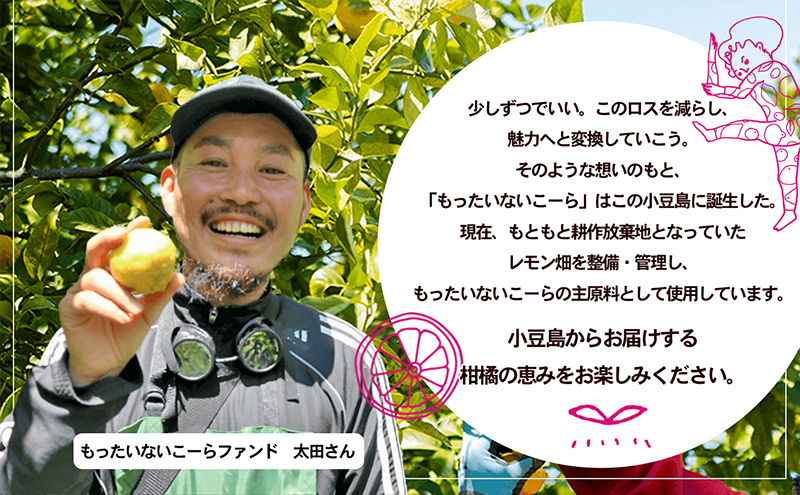 島柑橘が主役！もったいないこーら クラフトコーラシロップ 300ml×5本セット