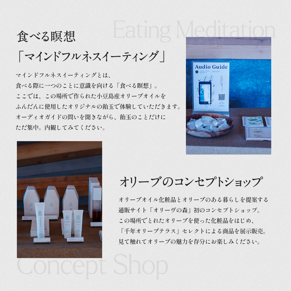 千年オリーブテラス for your wellness　オリーブオイルテイスティング講座（入園つき）ペアチケット オリーブオイル 体験 体験チケット オリーブテラス ペア 小豆島