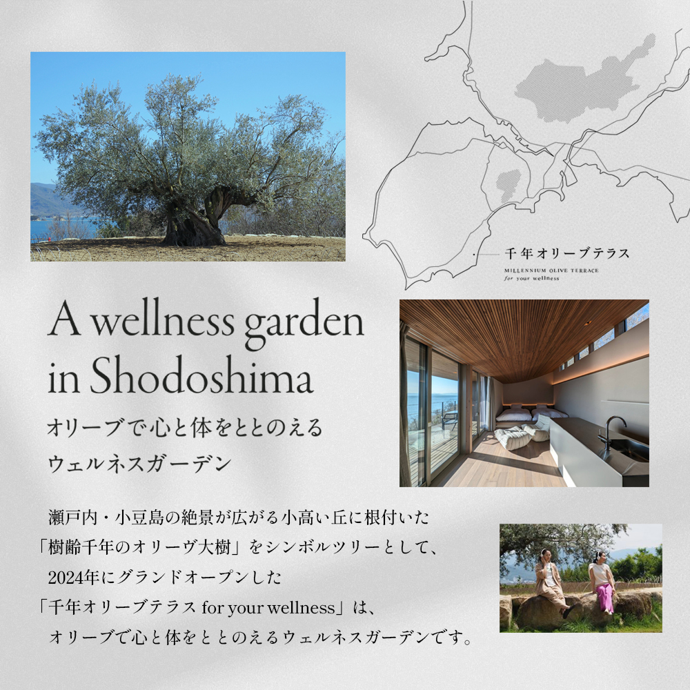 千年オリーブテラス for your wellness 「The STAY」ペア宿泊券 オリーブテラス オリーブ 宿泊 チケット 泊まる ペア 睡眠浴 小豆島