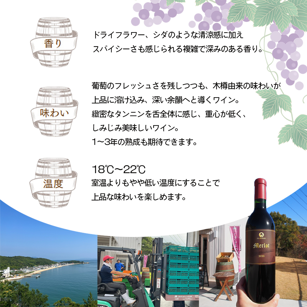 【ワイングラスセット】小豆島醸造 メルロー 2023年 720ml×1本&ブルゴーニュ型ワイングラス2脚 ワイン 国産