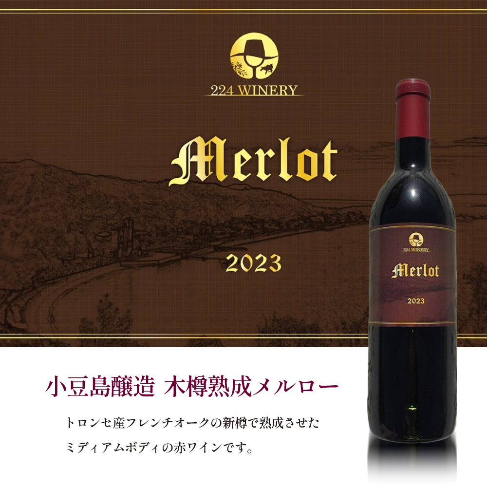 【ワイングラスセット】小豆島醸造 メルロー 2023年 720ml×1本&ブルゴーニュ型ワイングラス2脚 ワイン 国産