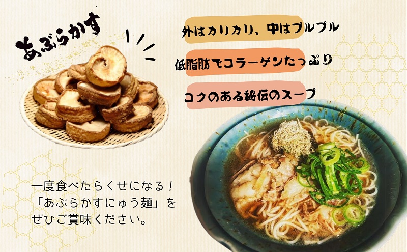 あぶらかすにゅう麺 ～KASUYA特製秘伝のだし付き～ 5個セット そうめん にゅうめん 小豆島 手延べ 素麵 つゆ付き 国産小麦 10人前