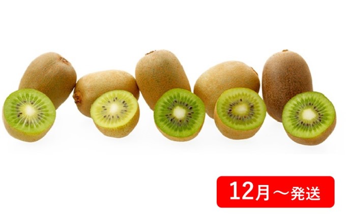 【8回お届け】土庄町 季節の果物
