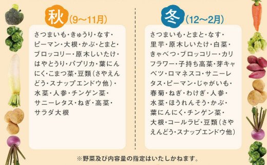 レシピ付き 年４回春夏秋冬の旬野菜１０品お届け定期便 ふるさとパレット 東急グループのふるさと納税