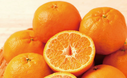 【訳あり】人気の柑橘室戸産ポンカン３ｋｇ