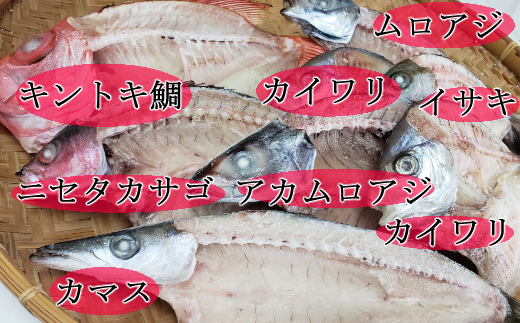 訳あり 地魚干物セット 約1 5ｋｇ ふるさとパレット 東急グループのふるさと納税