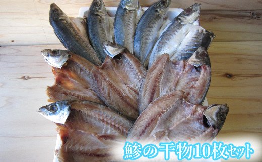 トロ鯵の干物セット 海洋深層水仕込み とろあじ１０枚 脂ののったアジ ふるさとパレット 東急グループのふるさと納税