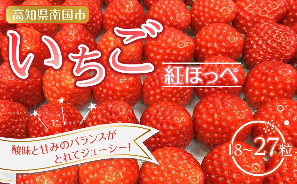 南国市産いちご ２パック（18～27粒）