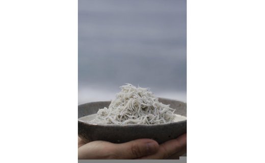 【土佐湾からの贈りもの】しらす干し2kg（250g×8パック）