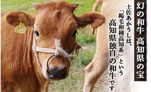 土佐あかうし【和牛ブリスケ／すき焼き用】