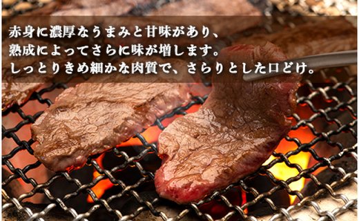 土佐あかうし【和牛肩ロース／焼肉用】