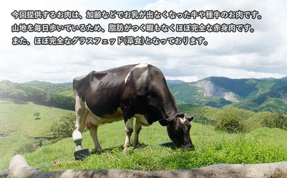 【南国斉藤牧場】山地酪農放牧牛の牛肉セット