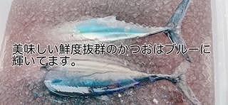 高知沖中土佐久礼かつお冷凍タタキ3節（手焼きわら焼き）