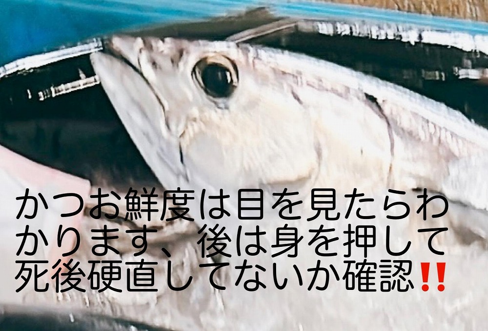 冷凍もちもち食感ビリかつお藁焼きたたき250g