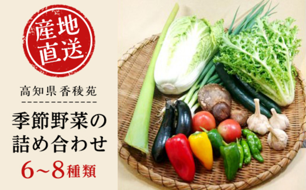 産地直送新鮮野菜】 高知県産 南国土佐の季節の野菜詰め合せセット