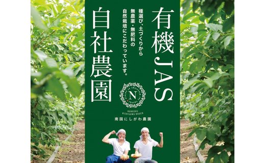 国産有機栽培グァバ葉100％使用 土佐國グァバ茶2g×30包入り 3個セット