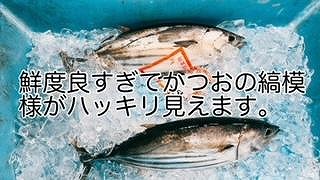 冷凍もちもち食感ビリかつお藁焼きたたき300gｘ4