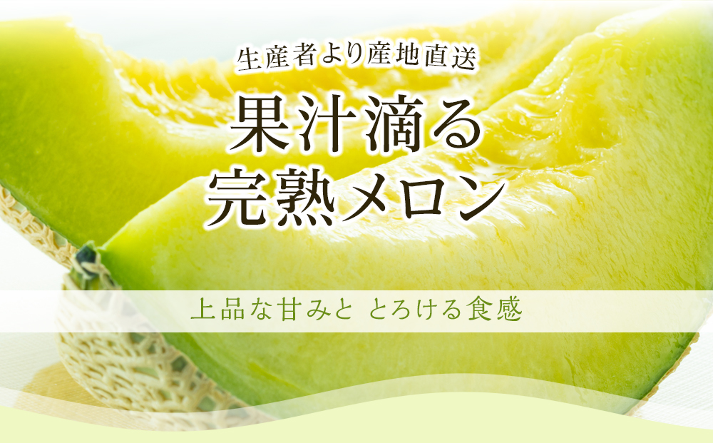 【先行予約】高知県南国市産／メロン・マンゴーセット（2025年6月～発送）