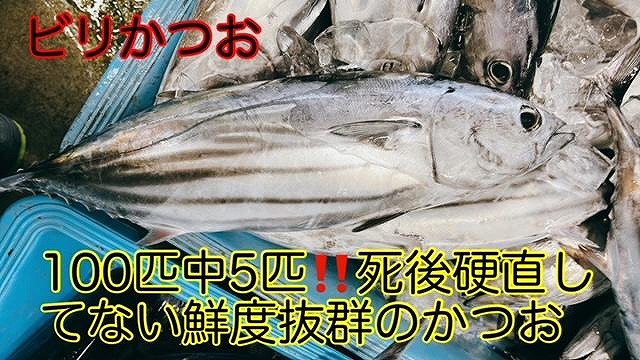 もちもち食感ビリかつお藁焼きたたき250gｘ4節