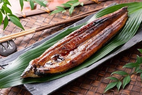 極上国産うなぎ四万十桜　白焼き5尾セット　鰻丼・鰻重に最適です