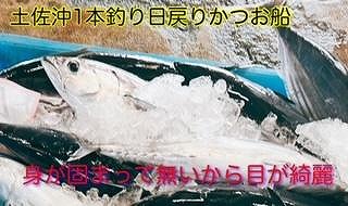 もちもち食感ビリかつお藁焼きたたき250gｘ4節