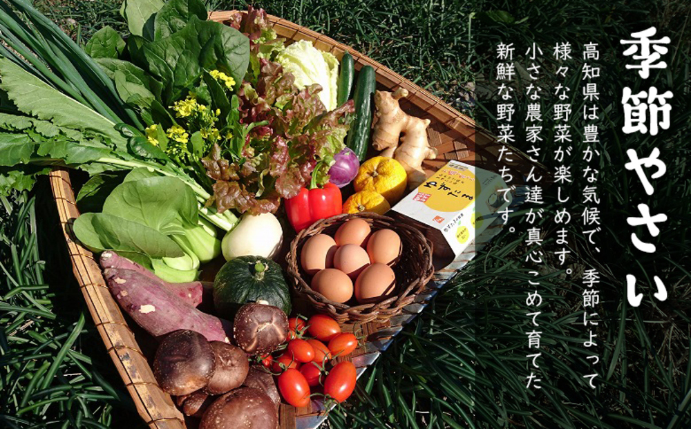 【野菜定期便全4回お届けコース】高知県産　南国土佐の季節野菜と卵（ゆずたま）の詰め合わせセット【新鮮野菜セット卵付き】