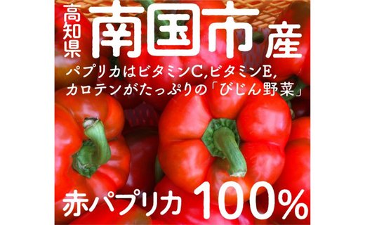 南国びじんセット パプリカソース３本と 南国市産パプリカの詰め合わせ(約600g)