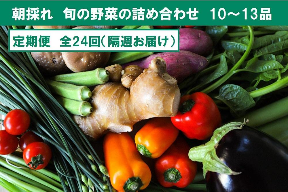 『定期便 全24回』【隔週お届け】朝採れ旬の野菜の詰め合わせ