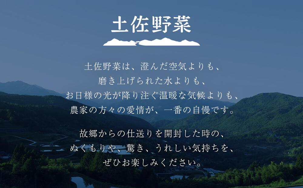 【土佐野菜】野菜の詰め合わせと無農薬生姜200g付き