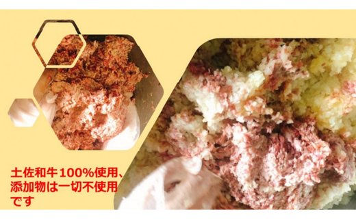 土佐和牛100％てこねハンバーグ　デミソース付き（200g×10個）