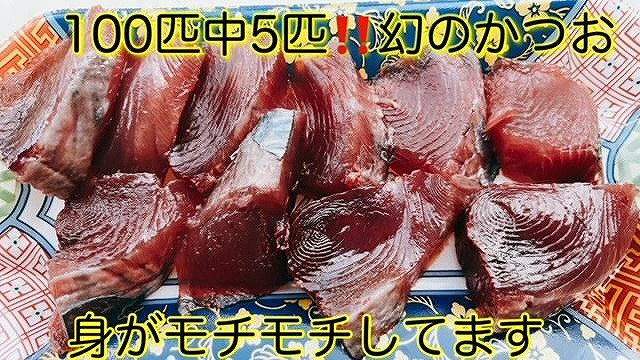 冷凍もちもち食感ビリかつお藁焼きたたき300g