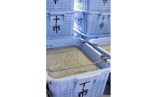 【土佐湾からの贈りもの】釜揚げしらす300ｇ×4パック