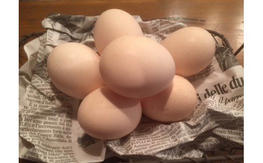 【AL-4】定期便：土佐ジローの卵（25個入り×12回）