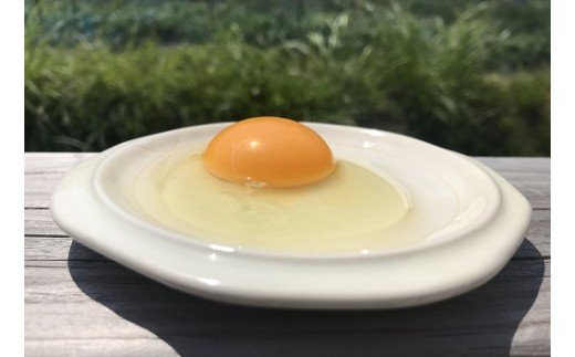 【AT-8】定期便：土佐ジローの卵（25個入り×6回）