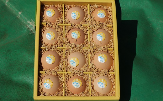 【AT-7】定期便：土佐ジローの卵（12個入り×12回）